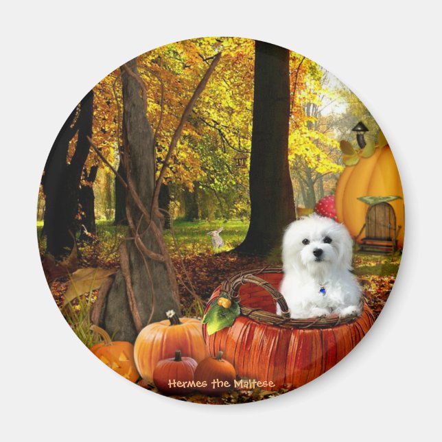 Íman Hermes o maltês (Frente)