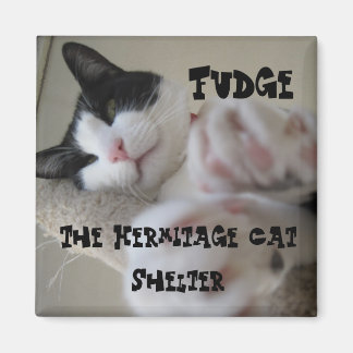 Íman Hermitage Magnet - Fudge