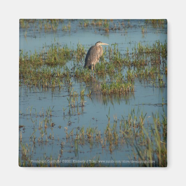 Íman Heron 6937 (Frente)