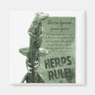 Íman Herps Rule Iguana Magnet