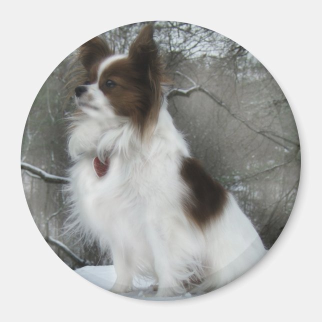 Íman Hershey Kiss Hero Kennel Merchandise (Frente)