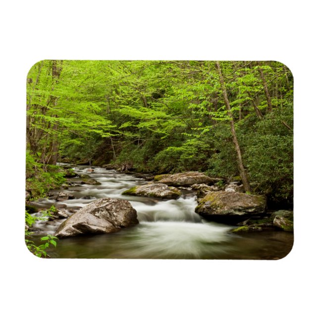 Íman Hetero Forrapk flui através da floresta (Horizontal)