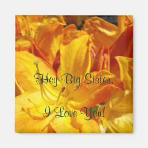 Íman Hey irmã mais velha eu te amo! presentes Rhodies