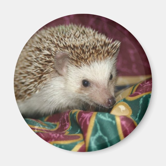 Íman hh standard (Frente)