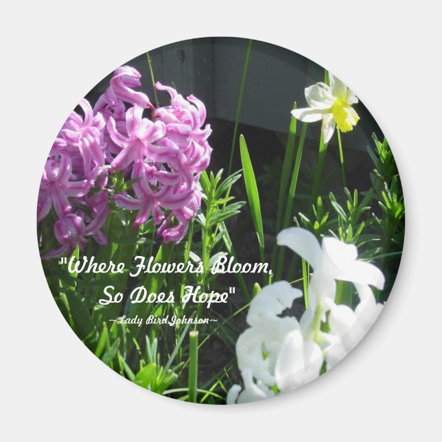 Íman Hiacintos e Daffodil (Frente)