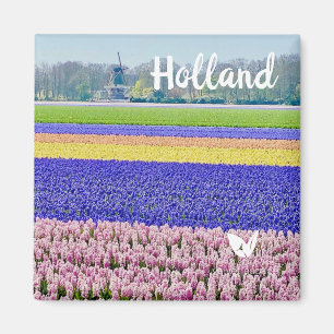 Íman Hiacintos na Holanda - ímã de Velvet Escape