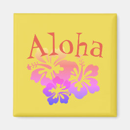 Íman Hibisco Arco-íris Aloha