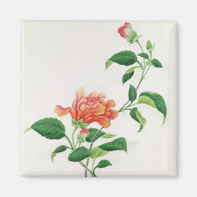 Íman Hibiscus (Frente)