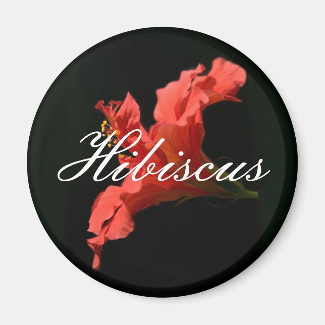 Íman Hibiscus (Frente)