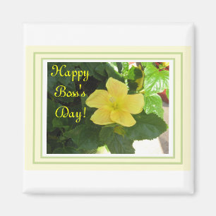 Íman Hibiscus amarelo para o ímã de Frig do chefe!