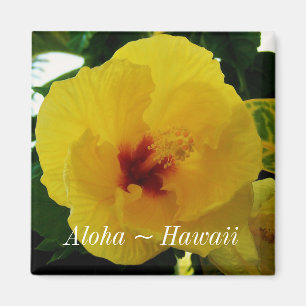 Íman Hibiscus do amarelo da flor de estado de Havaí