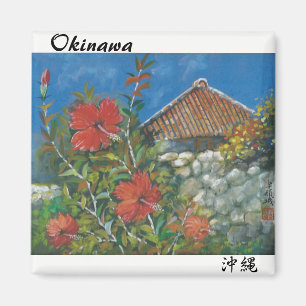 Íman Hibiscus do ímã da pintura e casa Okinawan