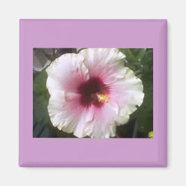 Íman Hibiscus Magnet