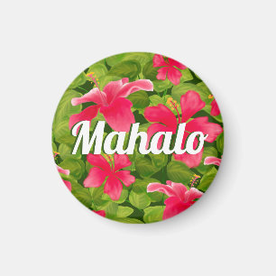 Íman Hibiscus Mahalo, rosa-havaiano
