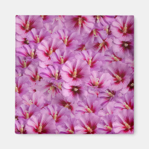 Íman Hibiscus - Padrão Chinês de Flor Rosa