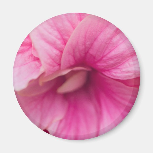 Íman Hibiscus rosa (Frente)