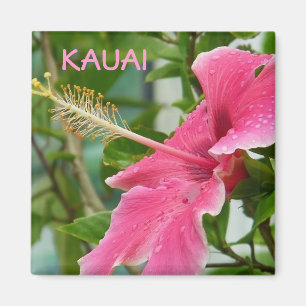 Íman Hibiscus tropical havaiano das flores de Kauai