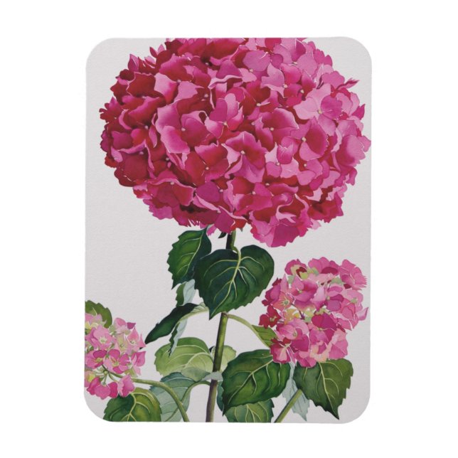 Íman Hidrangea (Vertical)