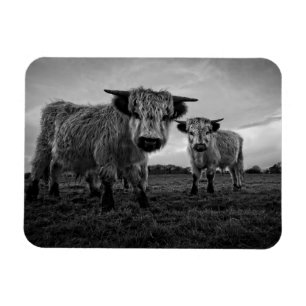 Íman High Park Cow Mono
