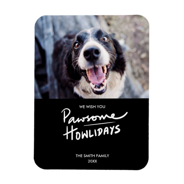 Íman Hillays Pawsome | Feriado de Fotografias de Cachor (Vertical)