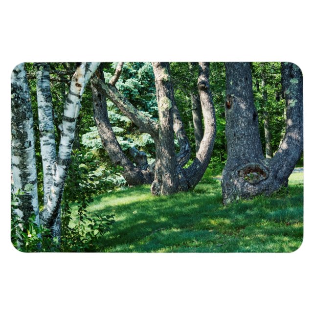 Íman Hillside Trees (Horizontal)