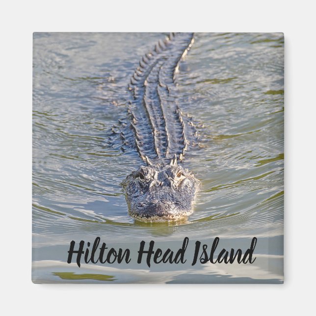 Íman Hilton Head Alligator Magnet (Frente)