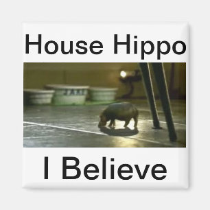 Íman Hipopótamo da casa