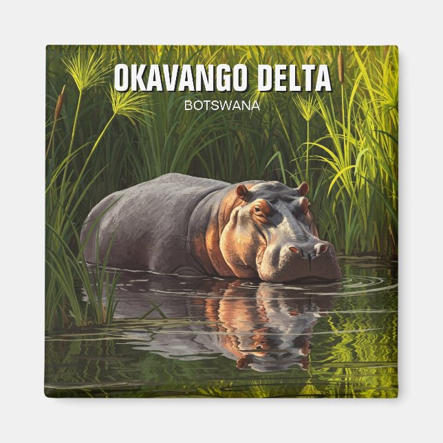 Íman Hippo no Okavango Delta Botswana (Frente)