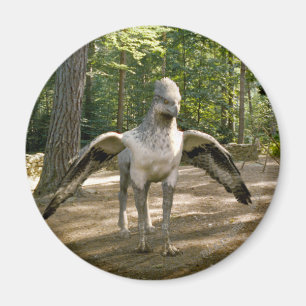 Íman Hippogriff