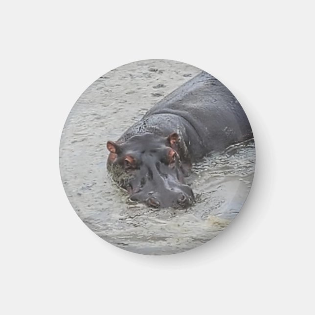 Íman Hippoposterus (Frente)