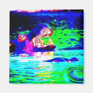 Íman Hippopotamus