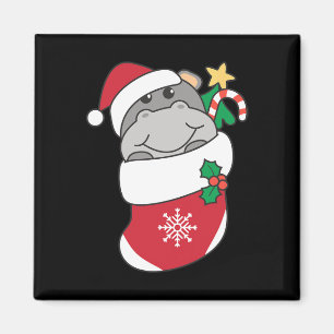 Íman Hippos Bonitos Em Meias De Natal Para O Natal