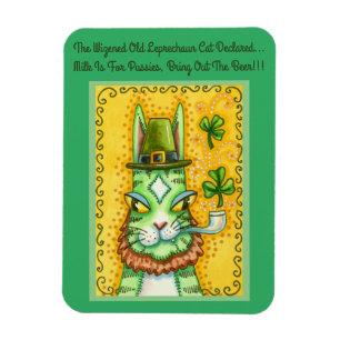 ÍMAN  HISS N' FITZ LEPRECHAUN, RUA. GATO ENGRAÇADO DO D