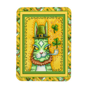 ÍMAN HISS N' FITZ LEPRECHAUN, RUA. GATO ENGRAÇADO DO D