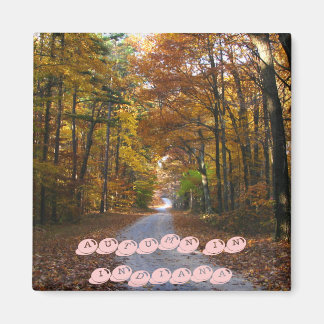 Íman HNF Autumn Lane, OUTONO NA ÍNDIA