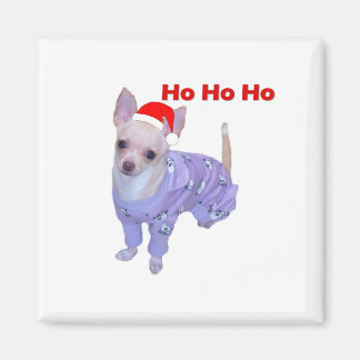 Íman Ho Ho (Chihuahua)