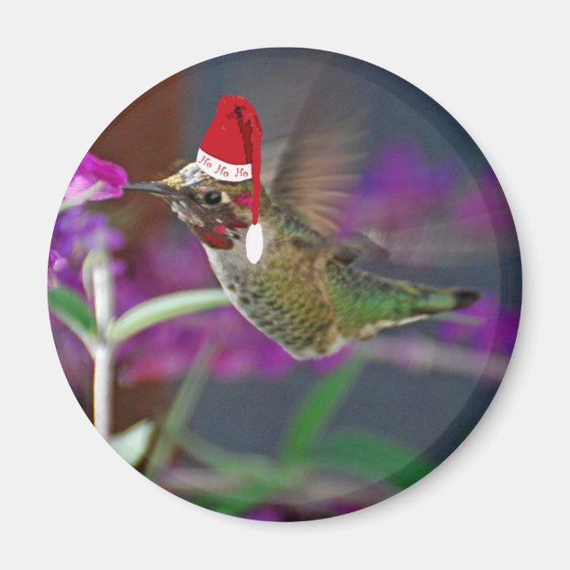 Íman Ho Ho Hummingbird (Frente)