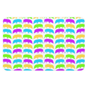 Íman Hogs multicoloridos Amarelo Verde Púrpura Azul Pr
