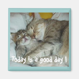 Íman Hoje é um bom dia! Ímã dos gatos