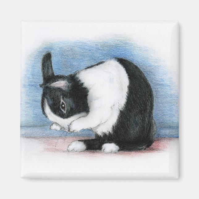 Íman holandês (Frente)