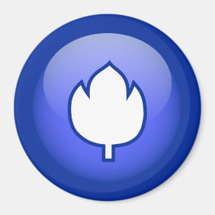 Íman Holandês Tulip