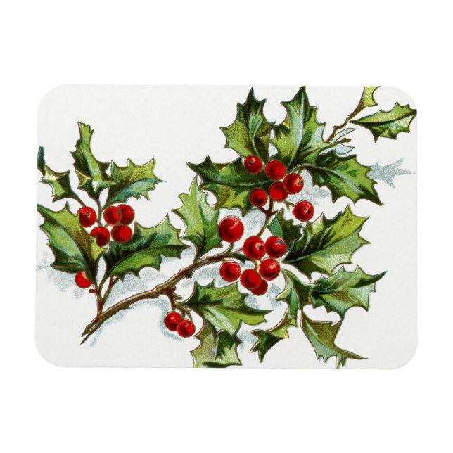 Íman HollyBerries20150801 (Horizontal)