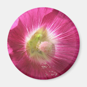Íman Hollyhock Deep Pink Magnet