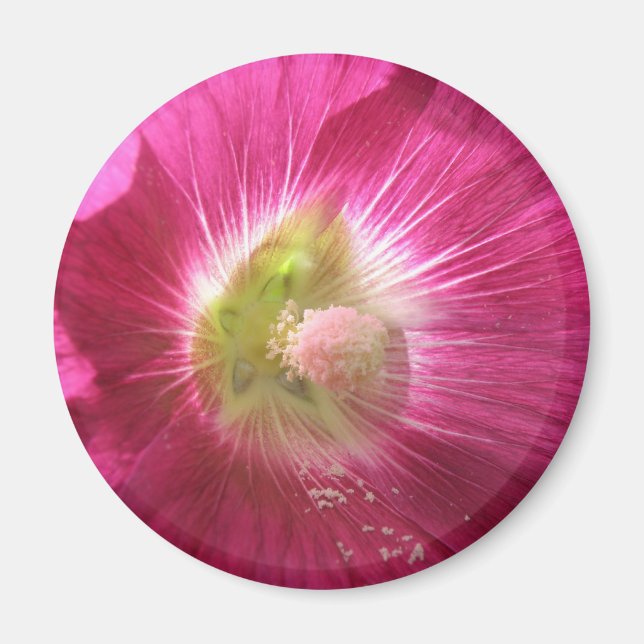 Íman Hollyhock Deep Pink Magnet (Frente)