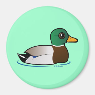 Íman Homem bonito do pato selvagem