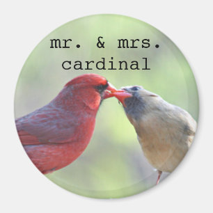 Íman Homem e foto cardinal fêmea