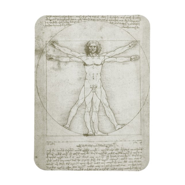 Íman Homem Vitruviano por Leonardo da Vinci (Vertical)