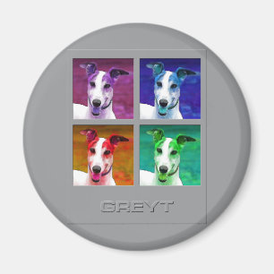 Íman Homenagem do galgo a