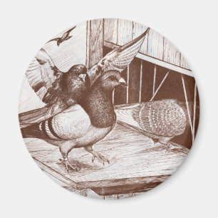 Íman Homens em Chamada