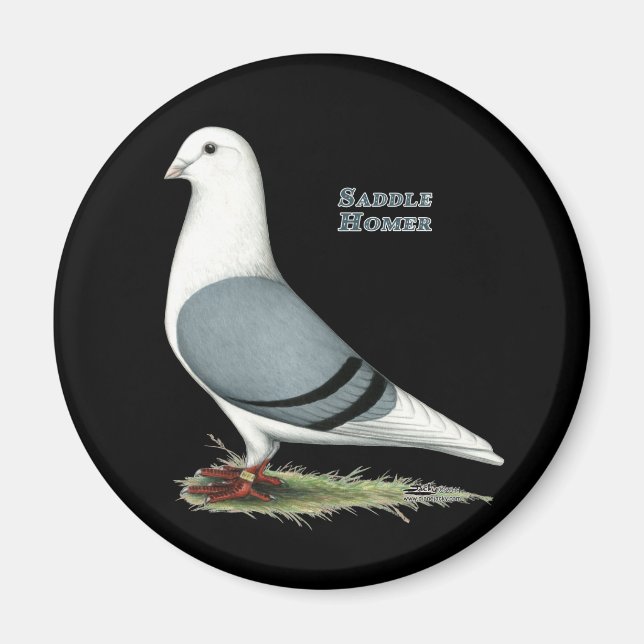 Íman Homer Blue Saddle (Frente)